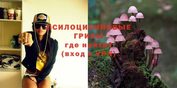 синтетический гашиш Няндома