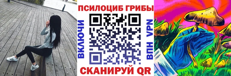 Псилоцибиновые грибы Cubensis  Туринск 
